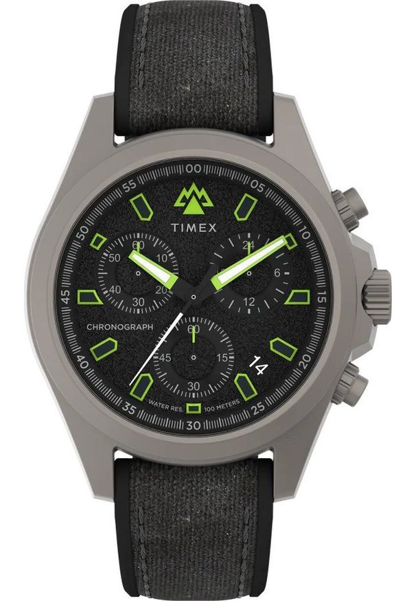 Zegarek Timex Zegarek męski Timex TW2V96300 szary. Kolor: szary