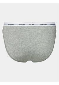 Calvin Klein Underwear Figi klasyczne 000QD5215E Szary. Kolor: szary. Materiał: bawełna #3