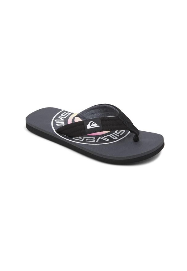 Quiksilver - Sandały dla Mężczyzn MOLOKAI LAYBACK Szary. Kolor: szary. Materiał: guma. Sezon: lato
