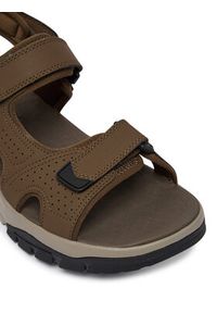 skechers - Skechers Sandały Strap River 205724/BRN Brązowy. Kolor: brązowy. Materiał: skóra #4