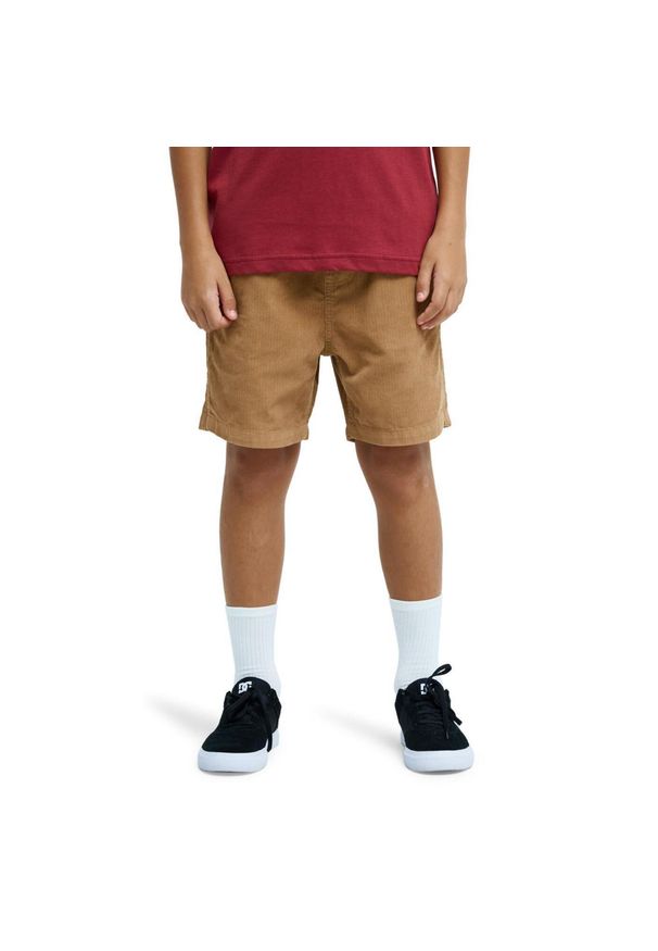 Quiksilver - Spodenki z elastyczną talią dla Chłopcy TAXER Brązowy. Kolor: brązowy. Materiał: bawełna, tkanina. Długość: krótkie. Sezon: lato