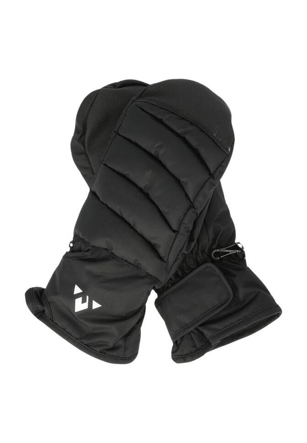 Rękawice narciarskie Whistler Xander. Kolor: czarny. Sezon: zima. Sport: narciarstwo