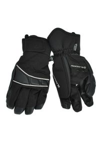 BLIZZARD - Męskie rękawice narciarskie Blizzard Profi. Kolor: czarny. Sezon: zima. Sport: narciarstwo #2