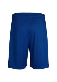 Spodenki sportowe męskie Hummel Core Poly Shorts. Kolor: niebieski