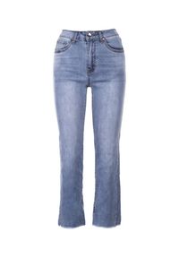 Renee - Niebieskie Jeansy Wide Leg Neametai. Kolor: niebieski. Materiał: jeans #4