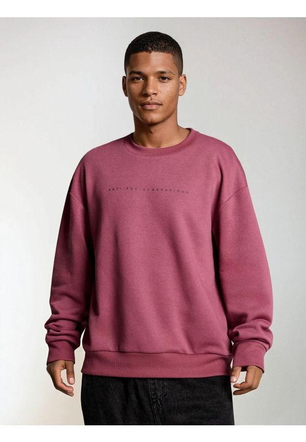 Sinsay - Bluza z napisem - fioletowy. Kolor: fioletowy. Wzór: napisy