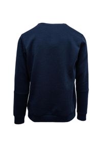 Adidas - Bluza męska adidas Essentials Sweatshirt. Kolor: biały, wielokolorowy, niebieski. Materiał: bawełna, materiał