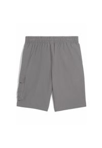 Puma - Męskie szorty bojówki Essentials 9" z logo No.1 PUMA Cast Iron Gray. Kolor: szary