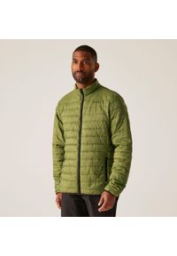 Regatta - Męska pikowana kurtka Hillpack. Kolor: zielony. Materiał: poliamid, puch. Sport: turystyka piesza #1