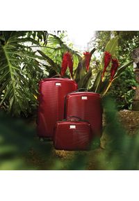 Wittchen - Średnia walizka z polikarbonu jednokolorowa bordowa. Kolor: czerwony. Materiał: guma