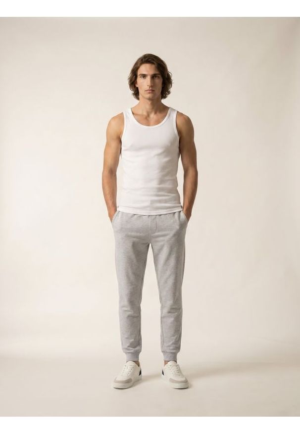 Sinsay - Spodnie jogger slim fit - szary. Kolor: szary