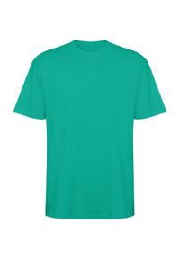ROLY - Koszulka Z Krótkim Rękawem Dla Dorosłych Unisex Bull Oversized. Kolor: niebieski, zielony, wielokolorowy. Długość rękawa: krótki rękaw. Długość: krótkie. Sport: turystyka piesza