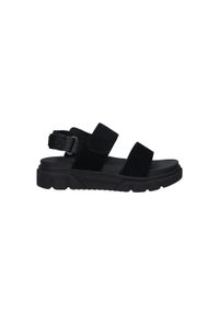 Sandały damskie Timberland Greyfield 2 Strap. Kolor: czarny