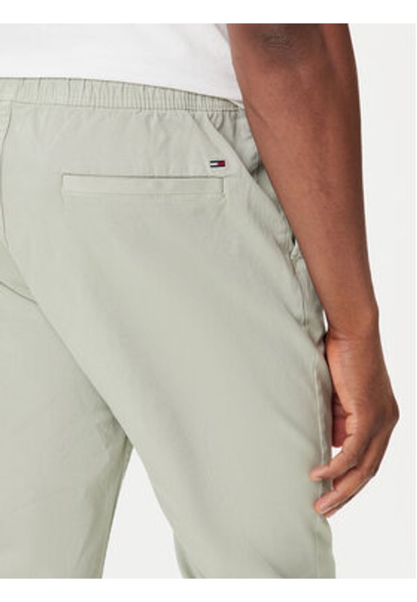Tommy Jeans Joggery Austin DM0DM20283 Zielony Slim Fit. Kolor: zielony. Materiał: bawełna