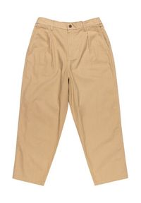 Quiksilver Spodnie cargo Urban Chill EQYNP03327 Beżowy Oversize. Kolor: beżowy. Materiał: bawełna #2