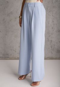 Renee - Jasnoniebieski Komplet Garniturowy Marynarka z Krótkim Rękawem i Spodnie Wide Leg Coramara. Kolor: niebieski. Wzór: aplikacja #3