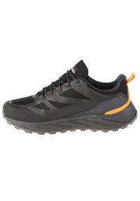 Buty trekkingowe męskie Jack Wolfskin Terraventure Texapore Low. Zapięcie: sznurówki. Kolor: czarny. Materiał: guma, tkanina. Szerokość cholewki: normalna. Sport: turystyka piesza