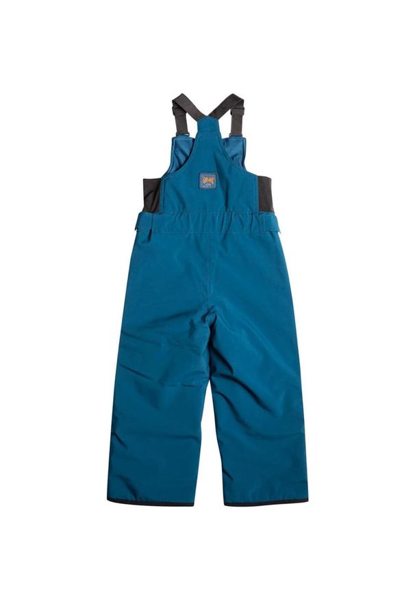 Spodnie narciarskie dla dzieci Quiksilver Boogie. Kolor: niebieski. Materiał: poliester. Sezon: zima. Sport: narciarstwo
