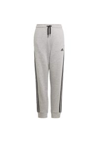 Adidas - Spodnie dla dzieci adidas Essentials 3 Stripes Pant GQ8899. Kolor: wielokolorowy, szary, czarny #1