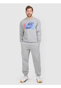 4f - 4F Spodnie dresowe joggery męskie - szare M. Kolor: szary. Materiał: dresówka. Sport: fitness #1