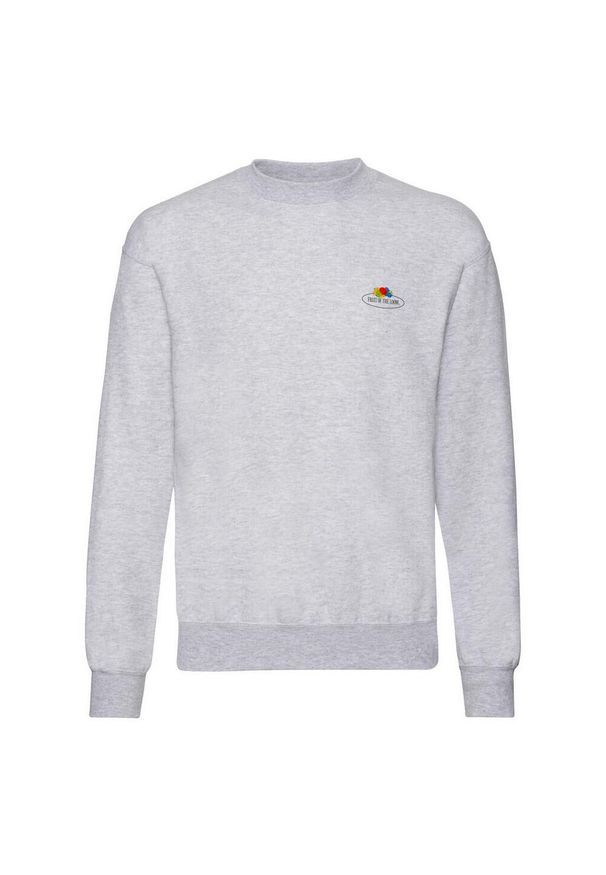 FRUIT OF THE LOOM - Męska Bluza Z Nadrukiem Logo W Stylu Vintage. Kolor: szary. Wzór: nadruk