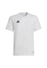 Adidas - Koszulka dla dzieci adidas Entrada 22 Tee. Kolor: biały