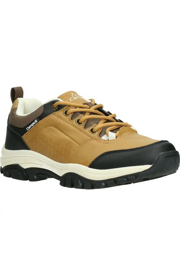 Buty Damskie Campus Masanella Brązowe 36. Kolor: brązowy. Sport: turystyka piesza