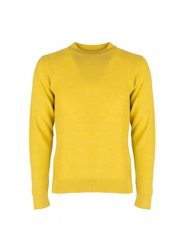 Xagon Man Sweter "C-Neck" | A21081 J1 1215 | Mężczyzna | Żółty. Okazja: na co dzień. Typ kołnierza: golf. Kolor: żółty. Materiał: wiskoza, akryl, wełna. Styl: casual