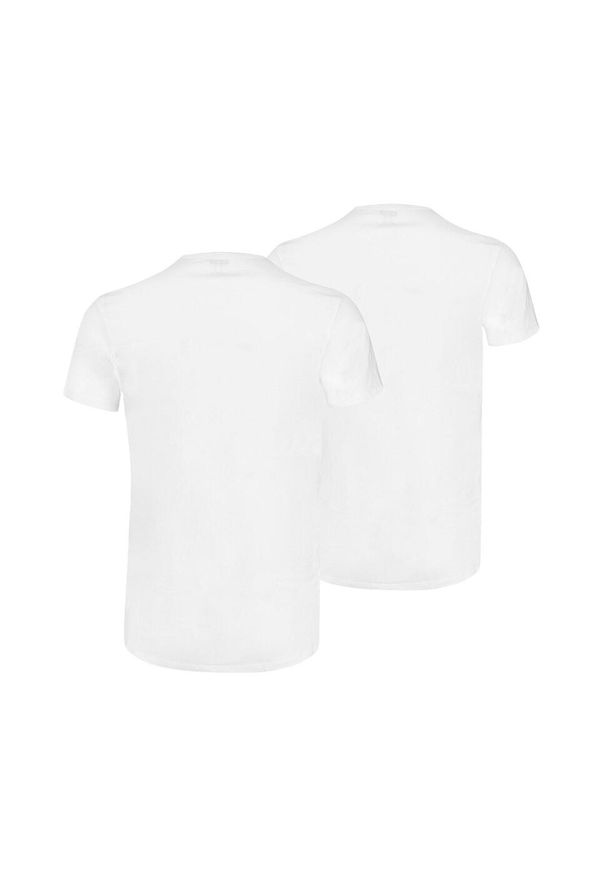 Koszulka męska Puma Basic 2p Crew Tee. Kolor: biały