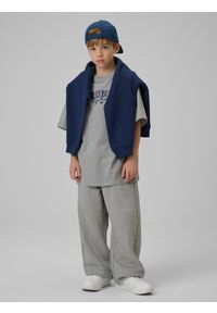 4f - 4F T-shirt loose z nadrukiem chłopięcy - szary 122/128 (6-8 lat). Okazja: na co dzień. Kolor: szary. Materiał: skóra, bawełna, dzianina. Wzór: nadruk. Sezon: lato. Styl: casual #2