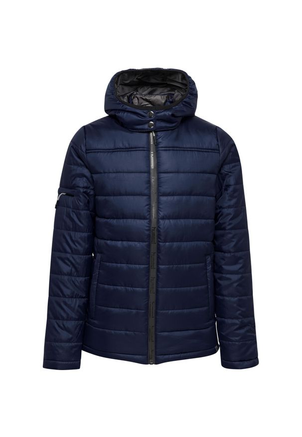 Parka dla dzieci Hummel Hummel North Quilted. Kolor: niebieski. Materiał: tkanina. Sport: piłka nożna