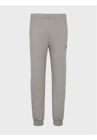 EA7 Emporio Armani Spodnie dresowe 8NPP53 PJ05Z 1920 Szary Regular Fit. Kolor: szary. Materiał: bawełna #1