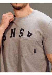 Sinsay - Bawełniana koszulka z krótkim rękawem - szary. Kolor: szary. Materiał: bawełna. Długość rękawa: krótki rękaw. Długość: krótkie #1