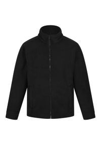 Regatta - Męska Bluza Polarowa Thor 300. Kolor: czarny. Materiał: polar. Sezon: zima. Styl: sportowy. Sport: turystyka piesza #1