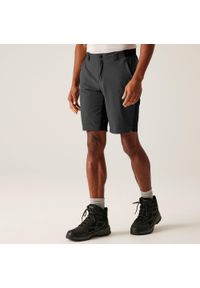 Regatta - Spodenki trekkingowe męskie Eldes. Kolor: szary. Sport: turystyka piesza #1