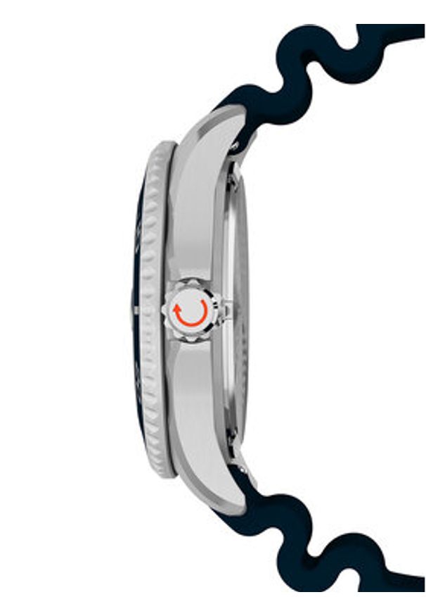 Timex Zegarek Deepwater Meridian TW2W81500 Srebrny. Kolor: srebrny