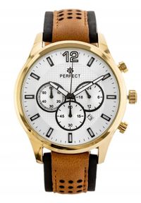 Zegarek Perfect Zegarek męski zp354c #1