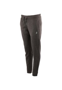GALEO - Damskie Spodnie Sportowe ATHL. DPT Alda Szare 2XL - Wygodne i Oddychające. Kolor: szary. Materiał: dresówka. Długość: długie