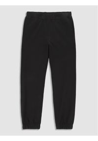 COCCODRILLO - Coccodrillo Spodnie dresowe WC3120102EVG Czarny Regular Fit. Kolor: czarny. Materiał: bawełna, dresówka