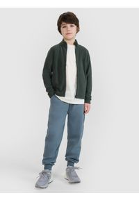 4f - 4F Polar regular ze stójką chłopięcy - zielony 164 (13-14 lat). Typ kołnierza: kołnierzyk stójkowy. Kolor: zielony. Materiał: polar. Wzór: gładki. Sezon: lato. Sport: narciarstwo, turystyka piesza, wspinaczka, snowboard #2