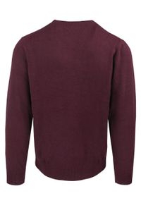 Męski, Bawełniany Sweter w Serek (V-neck) - Adriano Guinari - Bordo, Melanż. Okazja: do pracy, na co dzień, na spotkanie biznesowe. Typ kołnierza: dekolt w serek. Kolor: czerwony. Materiał: bawełna. Wzór: melanż. Styl: klasyczny, casual, elegancki, biznesowy #3