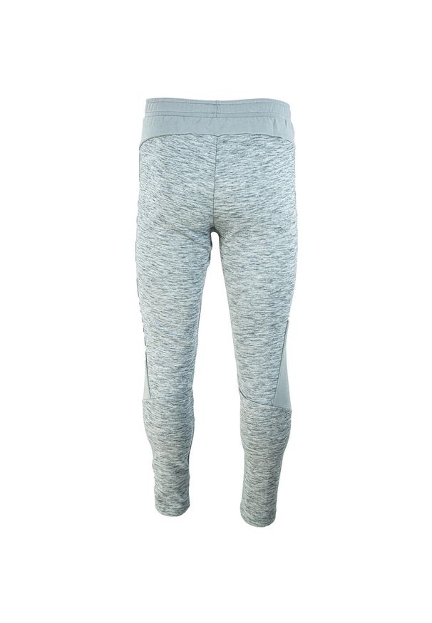 Puma Spodnie Evostripe 58581303. Kolor: szary. Sport: fitness
