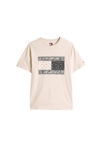 Tommy Jeans T-Shirt Paisley Flag DM0DM20810 Beżowy Relaxed Fit. Kolor: beżowy. Materiał: bawełna. Wzór: paisley