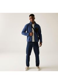 Regatta - Polar turystyczny męski Frankie Full Zip. Kolor: szary, niebieski, wielokolorowy. Materiał: polar. Sport: turystyka piesza #1