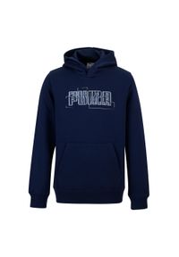 Bluza dziecięca Puma z kapturem. Typ kołnierza: kaptur. Materiał: bawełna, materiał #1