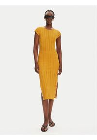 Pinko - PINKO Sukienka dzianinowa 104745 A2FR Brązowy Regular Fit. Kolor: brązowy. Materiał: wiskoza #4