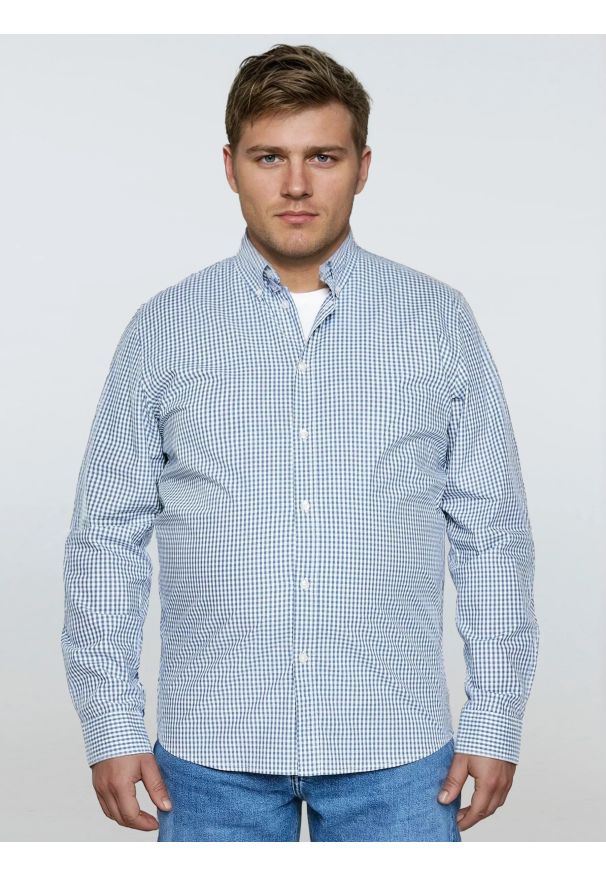 Big-Star - Koszula męska bawełniana w drobną kratę błękitna Gibbsoner 401. Kolor: niebieski. Materiał: bawełna. Wzór: gładki, haft, kratka. Styl: elegancki, klasyczny