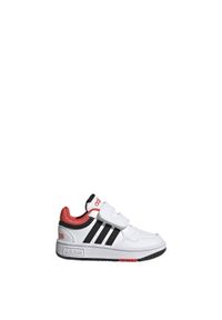 Adidas - Hoops Shoes. Kolor: czerwony, wielokolorowy, czarny, biały. Sport: tenis