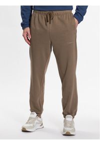 Calvin Klein Performance Spodnie dresowe Knitt Pant 00GMS3P604 Khaki Relaxed Fit. Kolor: brązowy. Materiał: bawełna, dresówka #1