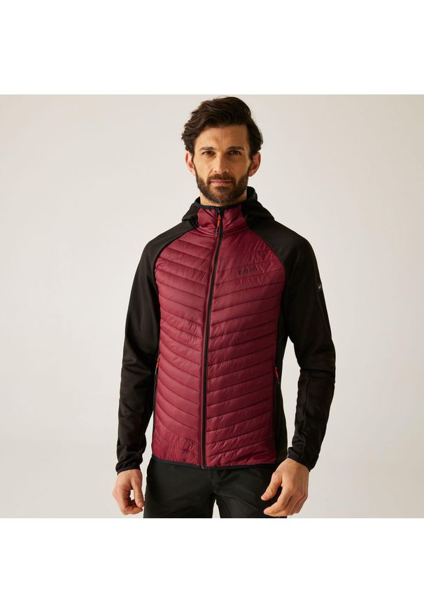 Regatta - Kurtka męska hybrydowa Andreson. Kolor: czerwony, wielokolorowy, różowy. Materiał: puch. Sport: turystyka piesza